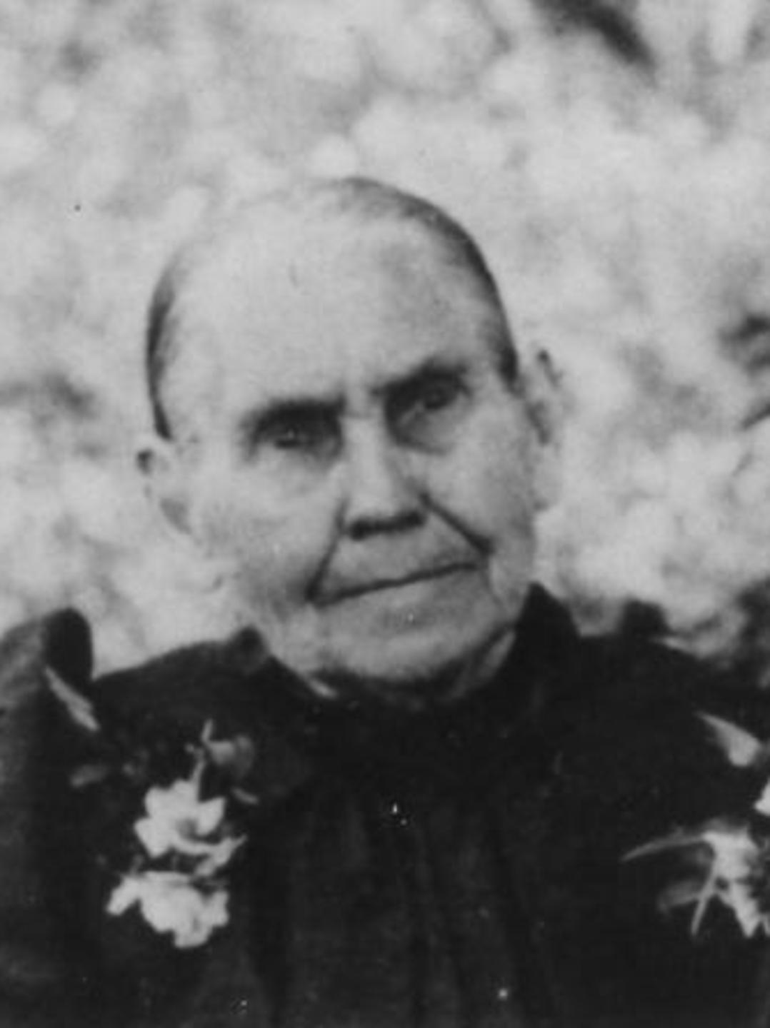 Mary Jane Marsh (1829 - 1913) Profile